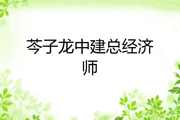 芩子龙中建总经济师