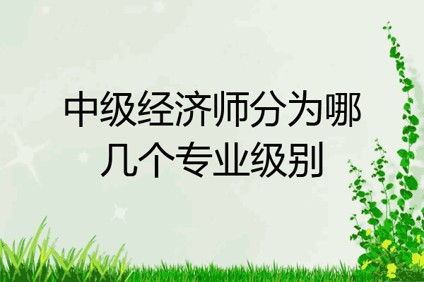 中级经济师分为哪几个专业级别