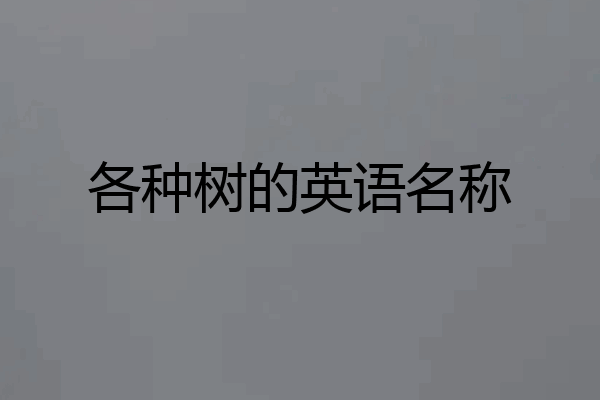 各种树的英语名称