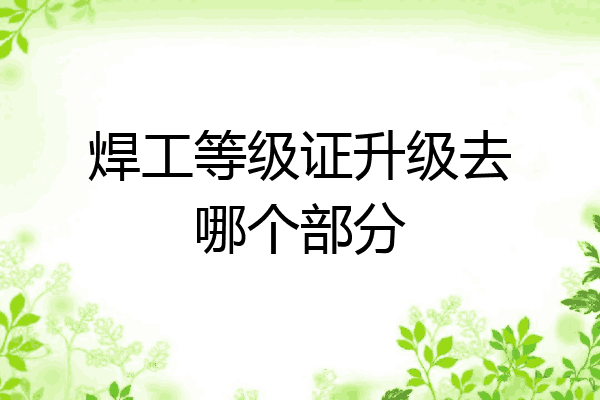 焊工等级证升级去哪个部分