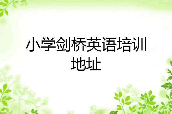 小学剑桥英语培训地址