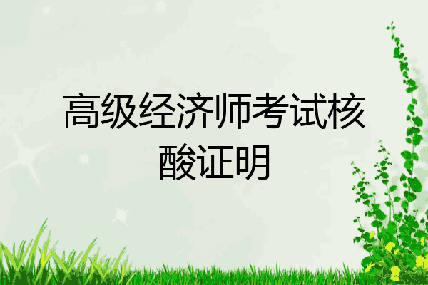 高级经济师考试核酸证明