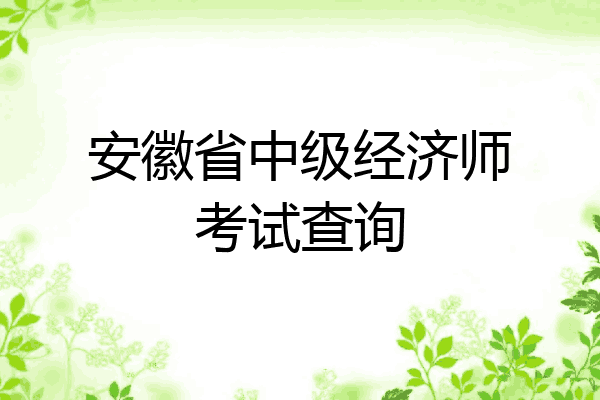 安徽省中级经济师考试查询