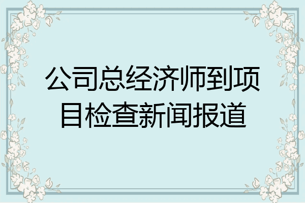 公司总经济师到项目检查新闻报道