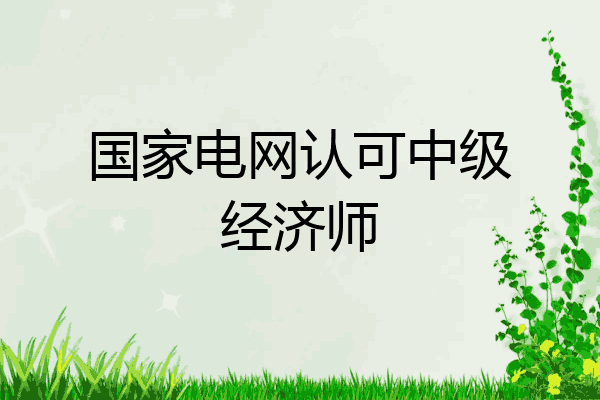 国家电网认可中级经济师