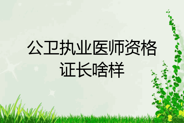 公卫执业医师资格证长啥样