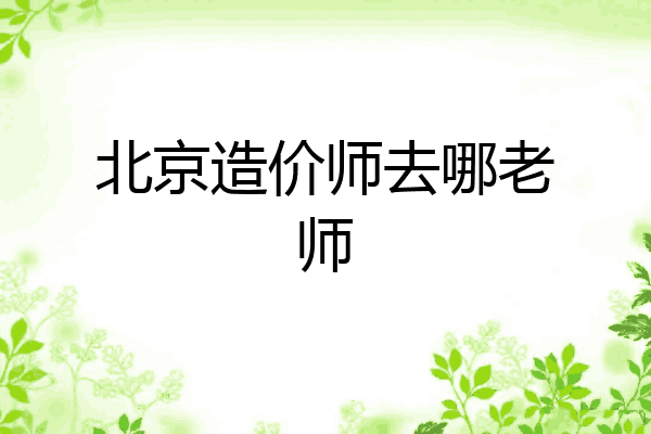 北京造价师去哪老师