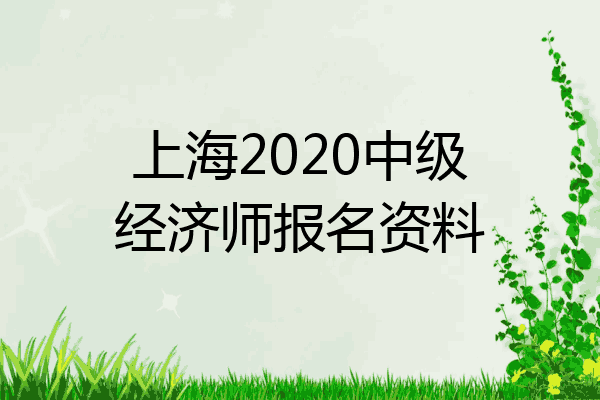 上海2020中级经济师报名资料