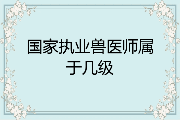 国家执业兽医师属于几级