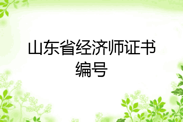 山东省经济师证书编号