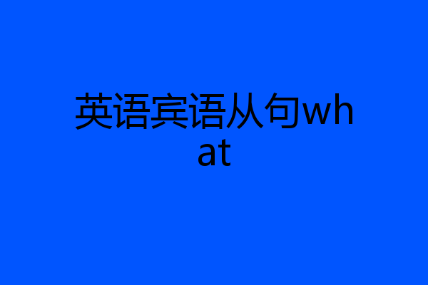 英语宾语从句what