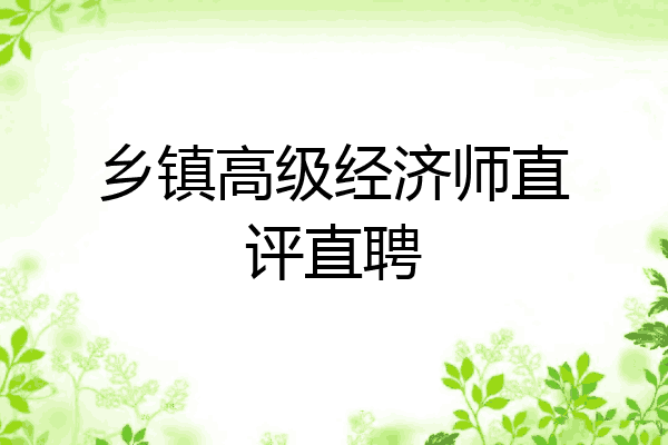 乡镇高级经济师直评直聘
