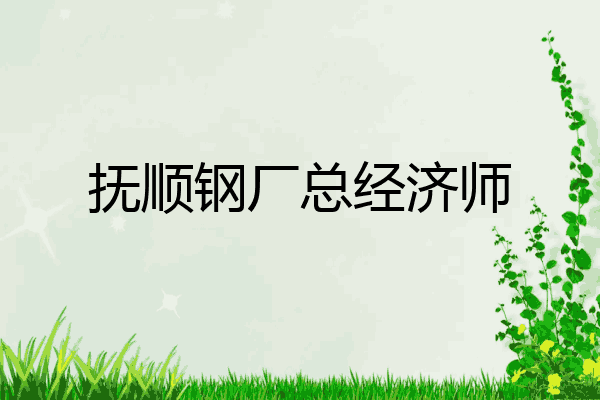 抚顺钢厂总经济师