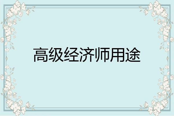 高级经济师用途