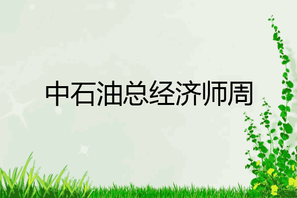 中石油总经济师周