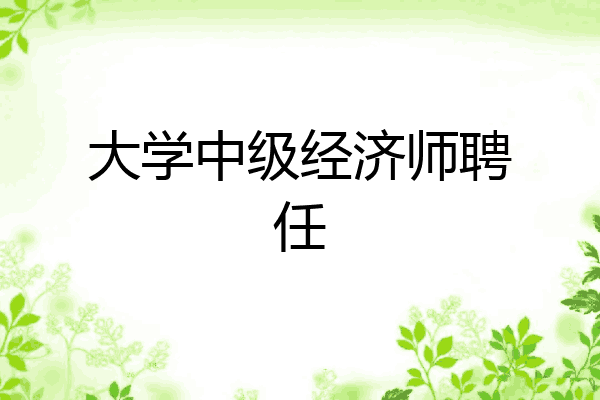 大学中级经济师聘任