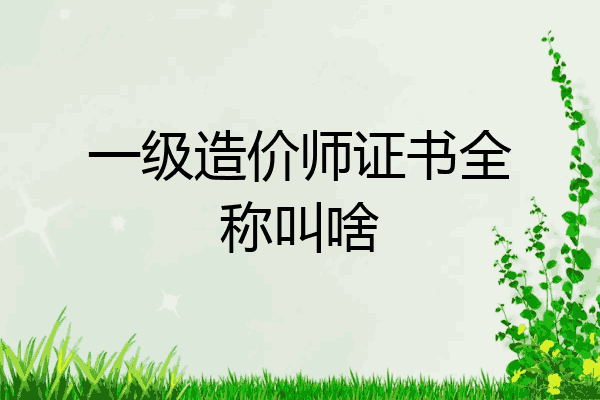一级造价师证书全称叫啥