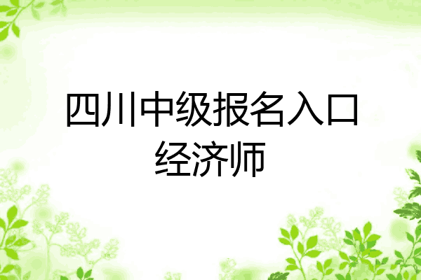 四川中级报名入口经济师