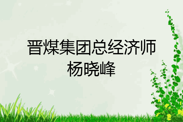 晋煤集团总经济师杨晓峰