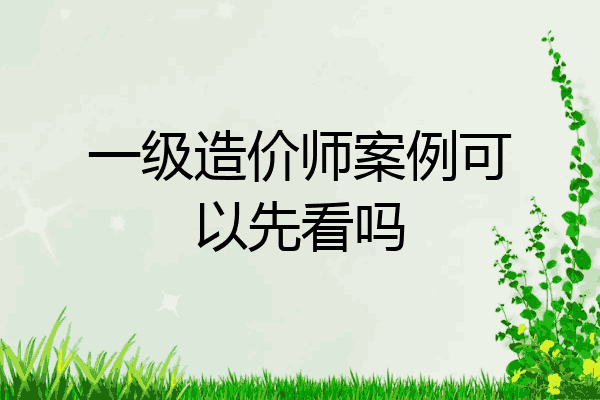 一级造价师案例可以先看吗