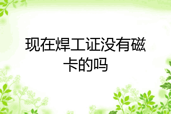现在焊工证没有磁卡的吗