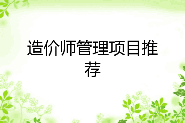 造价师管理项目推荐