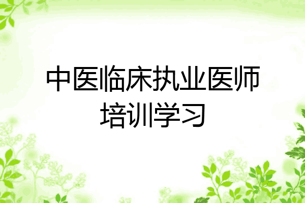 中医临床执业医师培训学习