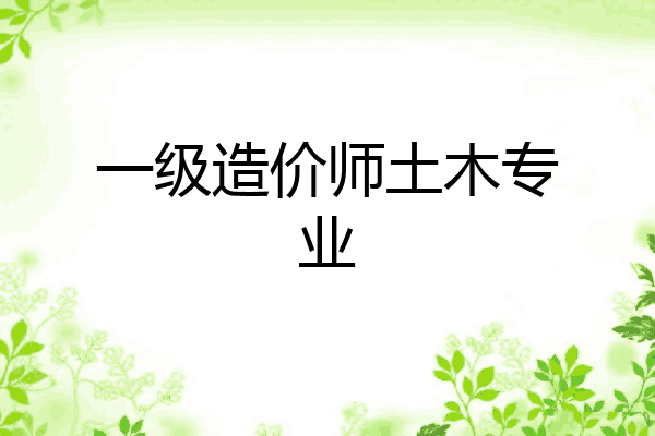 一级造价师土木专业