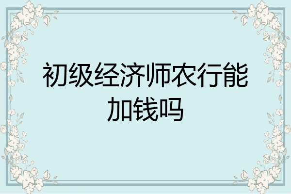 初级经济师农行能加钱吗