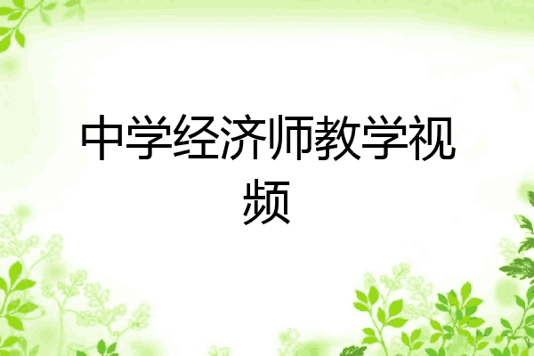 中学经济师教学视频