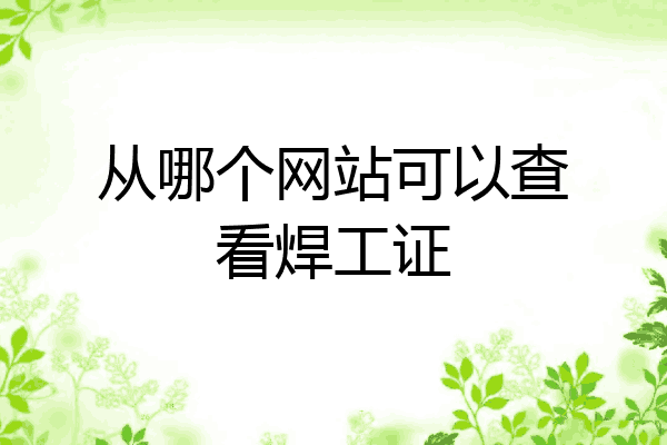 从哪个网站可以查看焊工证