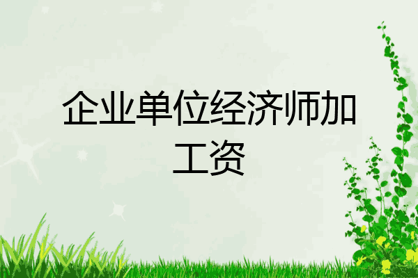 企业单位经济师加工资