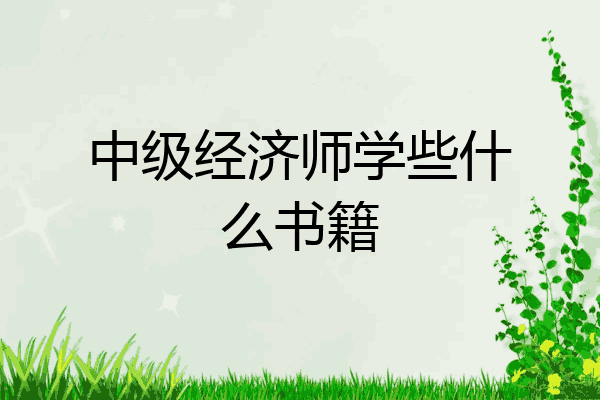 中级经济师学些什么书籍