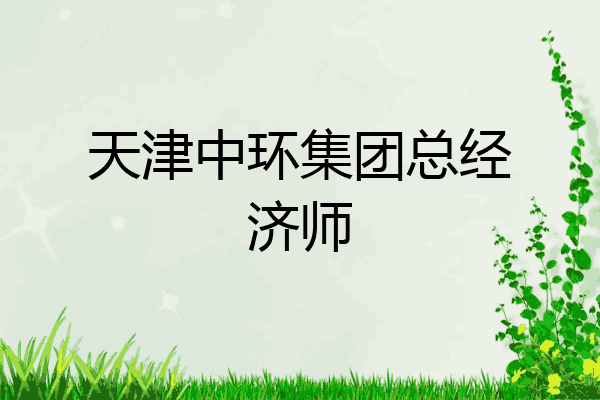 天津中环集团总经济师