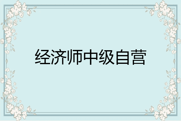 经济师中级自营