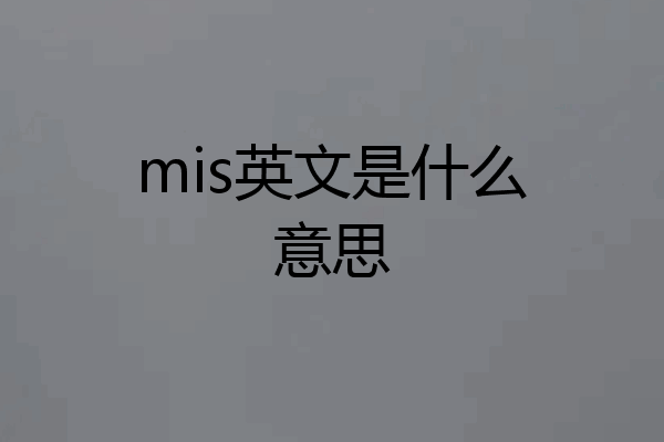 mis英文是什么意思