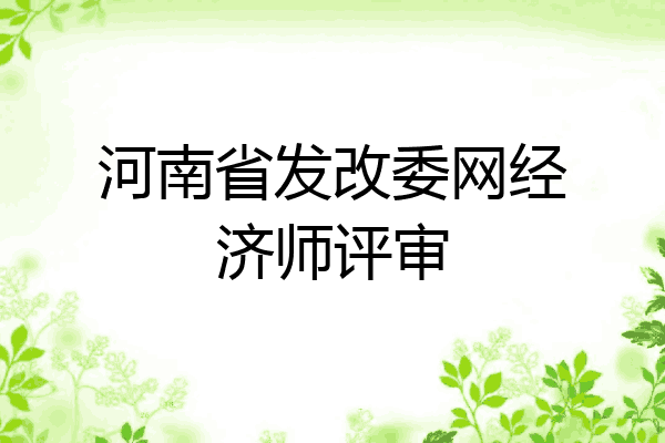 河南省发改委网经济师评审