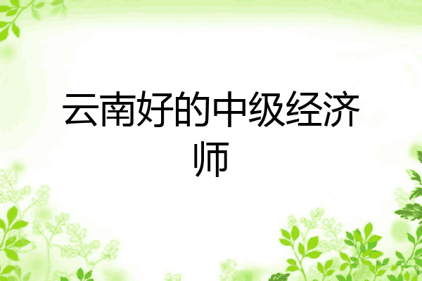 云南好的中级经济师