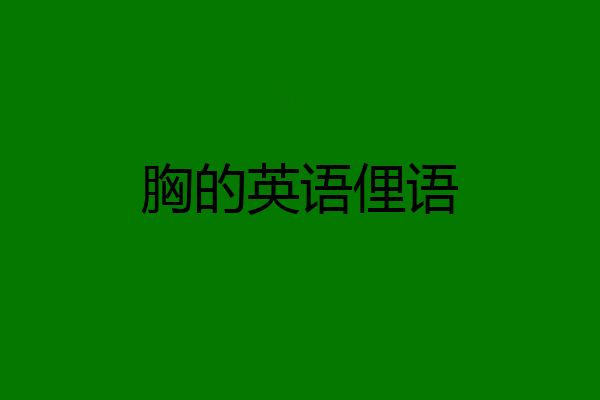 胸的英语俚语