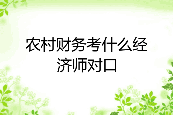 农村财务考什么经济师对口