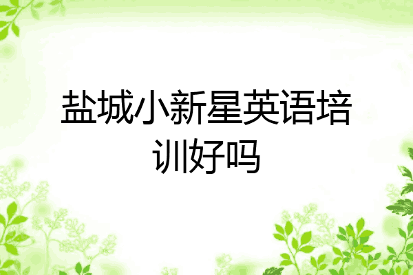盐城小新星英语培训好吗