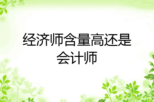 经济师含量高还是会计师