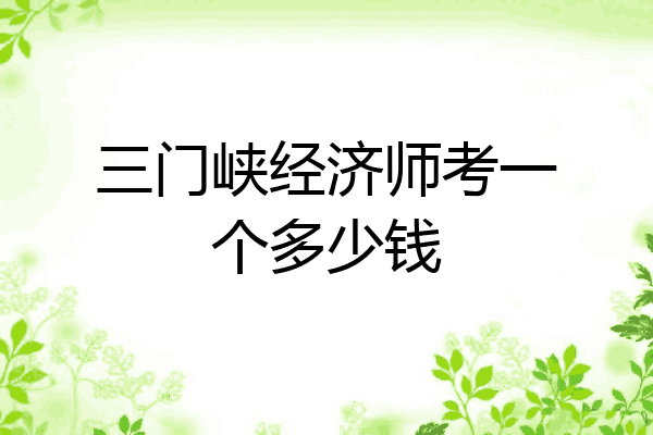 三门峡经济师考一个多少钱