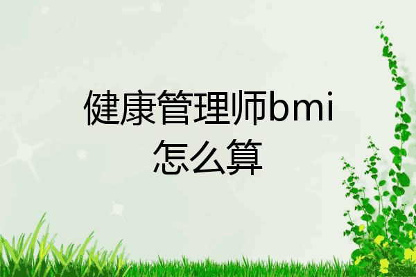 健康管理师bmi怎么算