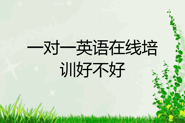 一对一英语在线培训好不好