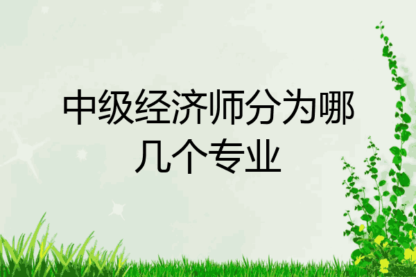 中级经济师分为哪几个专业