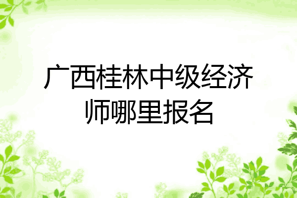 广西桂林中级经济师哪里报名