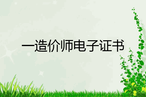 一造价师电子证书