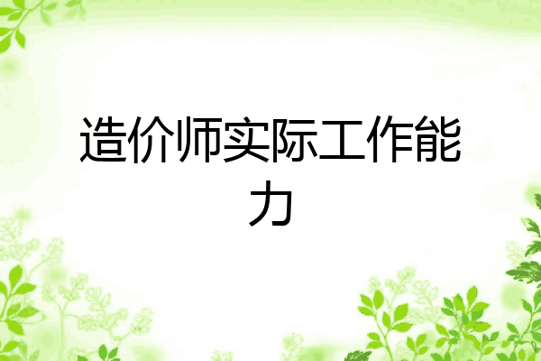 造价师实际工作能力