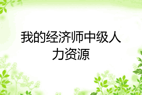 我的经济师中级人力资源